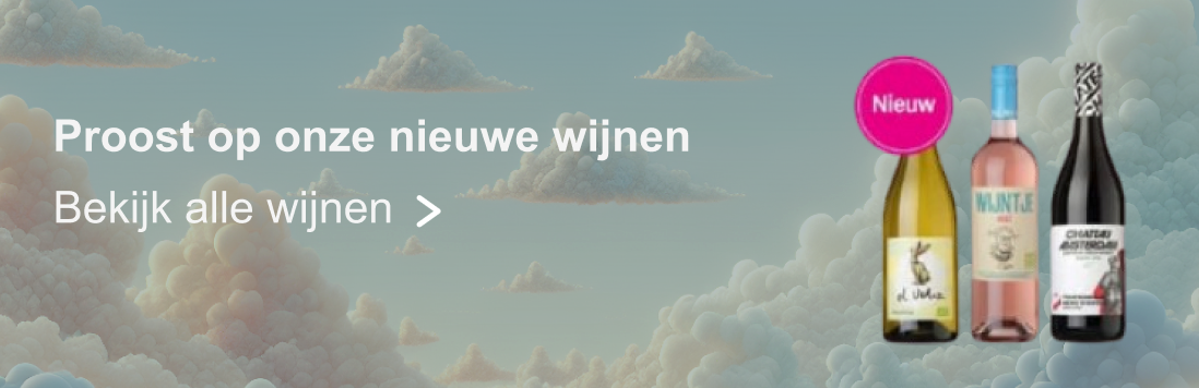 Media Monetization - AI-Powered Banner Tool - Albert Heijn